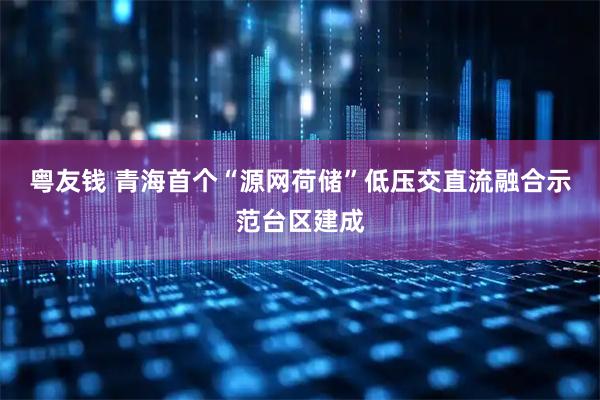 粤友钱 青海首个“源网荷储”低压交直流融合示范台区建成