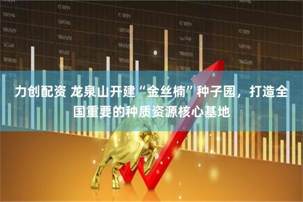 力创配资 龙泉山开建“金丝楠”种子园，打造全国重要的种质资源核心基地