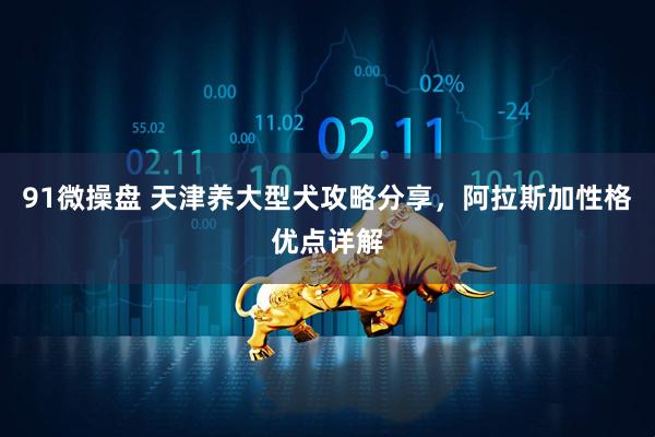 91微操盘 天津养大型犬攻略分享,阿拉斯加性格优点详解